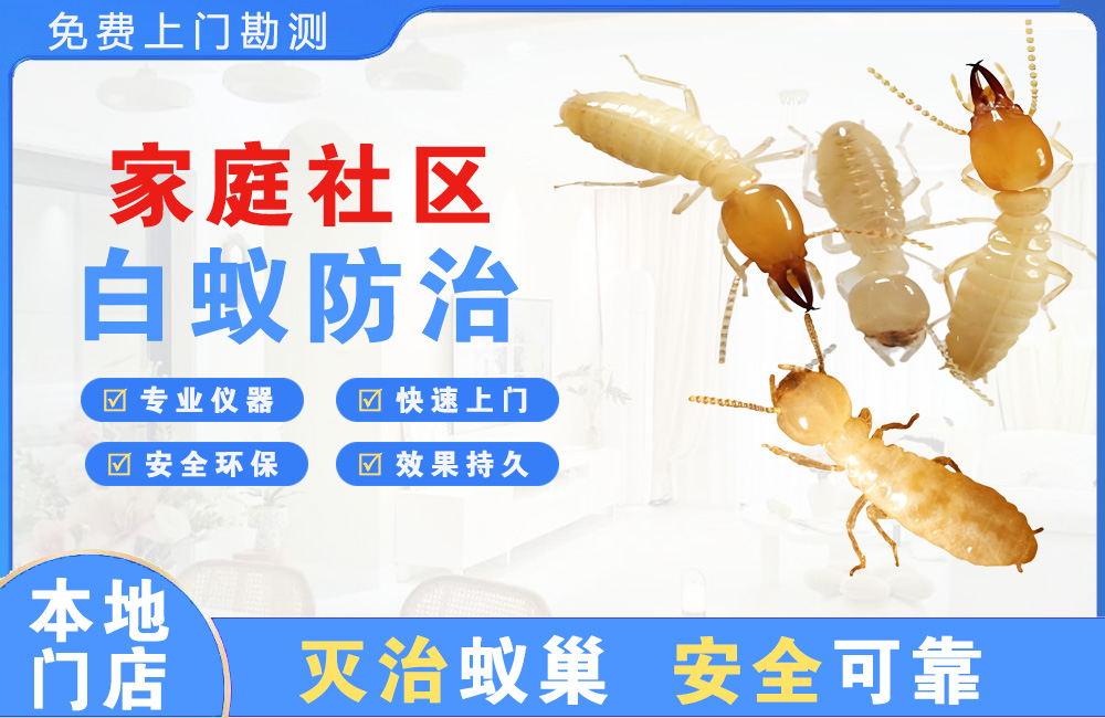 开平家庭社区白蚁防治