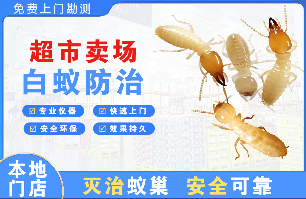 开平超市卖场白蚁防治
