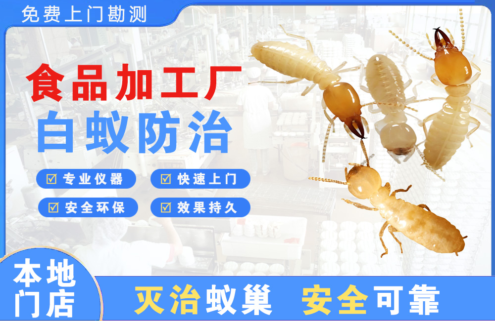 开平食品加工厂白蚁防治
