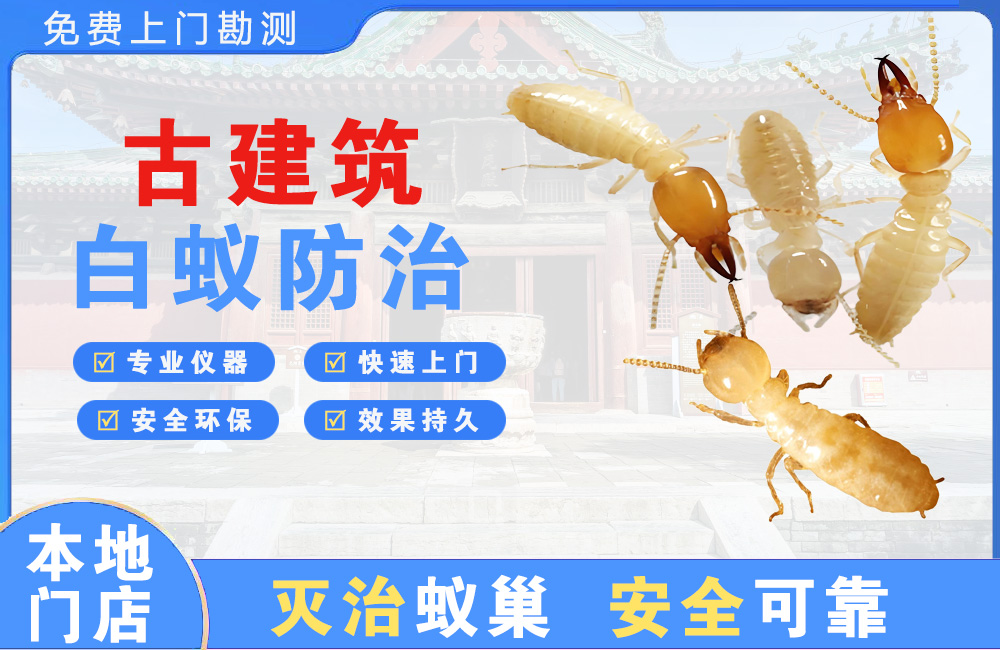 开平古建筑白蚁防治