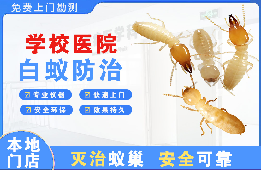 开平学校医院白蚁防治