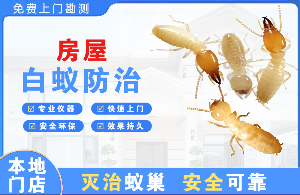 开平房屋白蚁防治