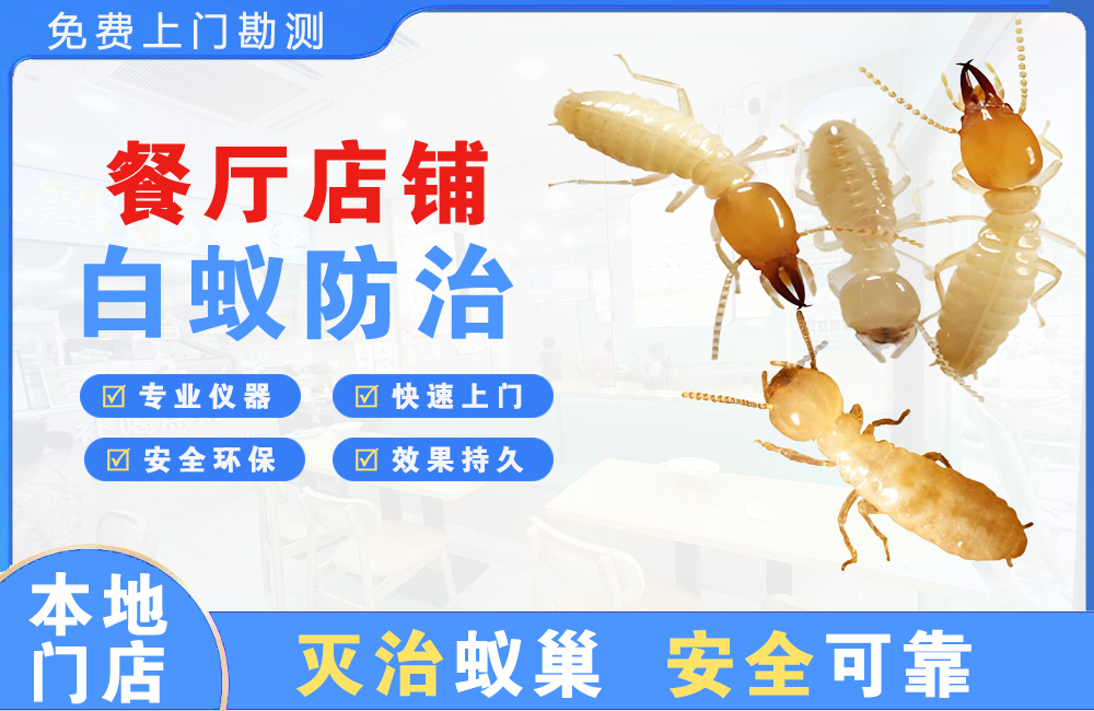 开平餐厅店铺白蚁防治